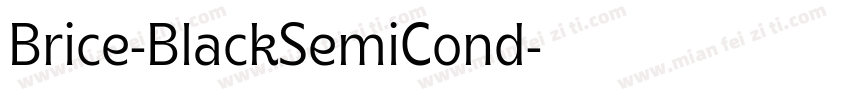 Brice-BlackSemiCond字体转换