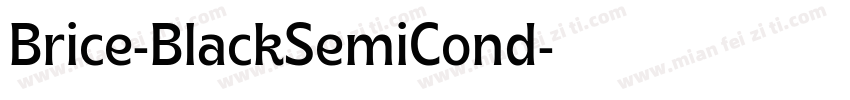 Brice-BlackSemiCond字体转换
