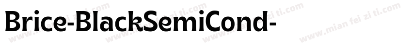 Brice-BlackSemiCond字体转换