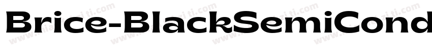 Brice-BlackSemiCond字体转换