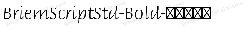 BriemScriptStd-Bold字体转换