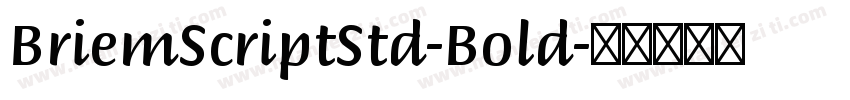 BriemScriptStd-Bold字体转换