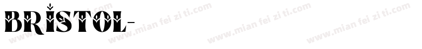 bristol字体转换