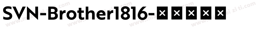 SVN-Brother1816字体转换