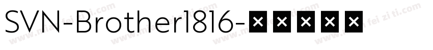SVN-Brother1816字体转换