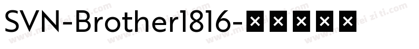 SVN-Brother1816字体转换