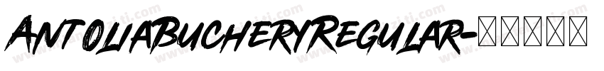 AntoliaBucheryRegular字体转换