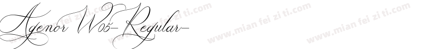 AgenorW05-Regular字体转换