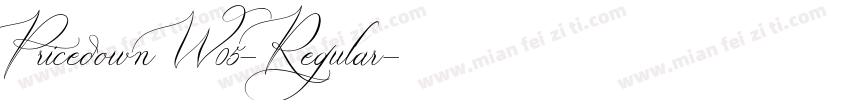 PricedownW05-Regular字体转换