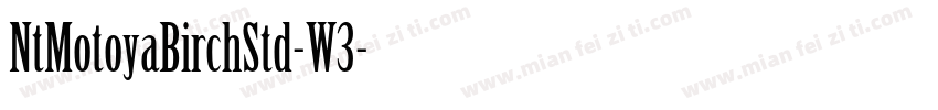 NtMotoyaBirchStd-W3字体转换
