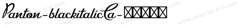Panton-blackitalicCa字体转换