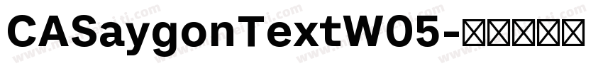 CASaygonTextW05字体转换