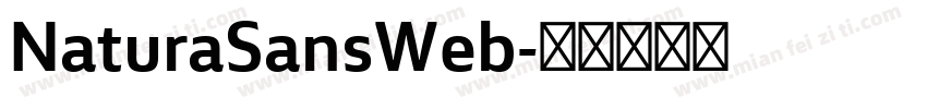 NaturaSansWeb字体转换