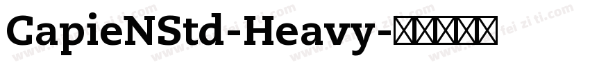 CapieNStd-Heavy字体转换