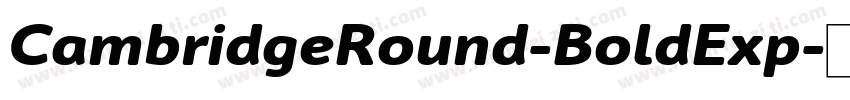 CambridgeRound-BoldExp字体转换