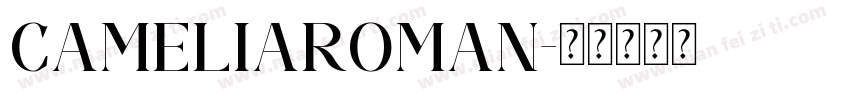 CameliaRoman字体转换