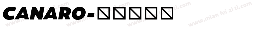 CANARO字体转换