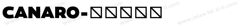 CANARO字体转换