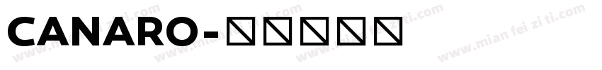 CANARO字体转换