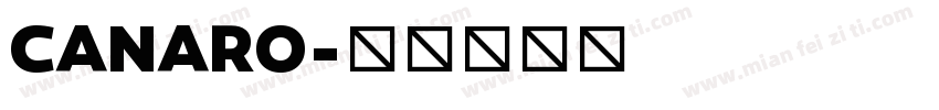 CANARO字体转换
