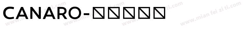 CANARO字体转换