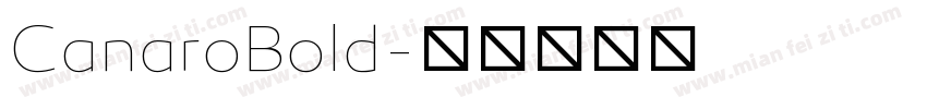 CanaroBold字体转换