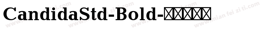 CandidaStd-Bold字体转换