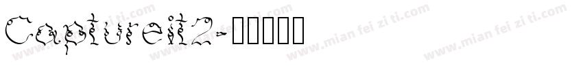 Captureit2字体转换