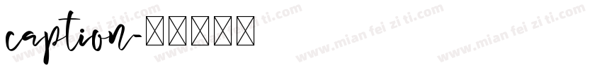 caption字体转换