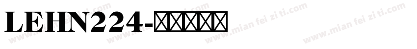 LEHN224字体转换