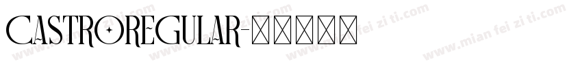 CastroRegular字体转换