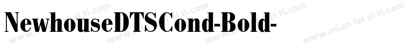 NewhouseDTSCond-Bold字体转换