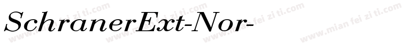 SchranerExt-Nor字体转换
