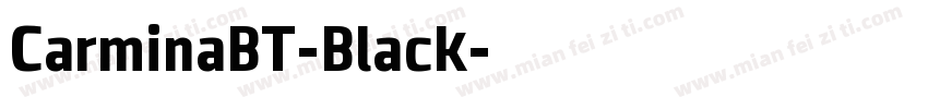 CarminaBT-Black字体转换