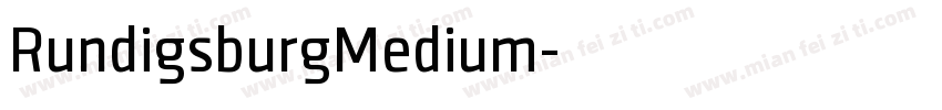 RundigsburgMedium字体转换