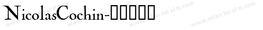 NicolasCochin字体转换