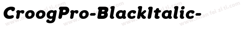 CroogPro-BlackItalic字体转换