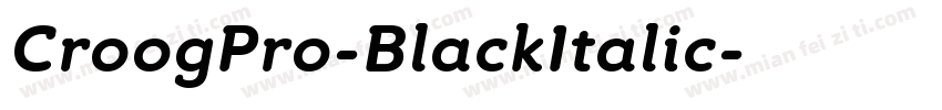 CroogPro-BlackItalic字体转换