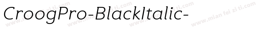 CroogPro-BlackItalic字体转换