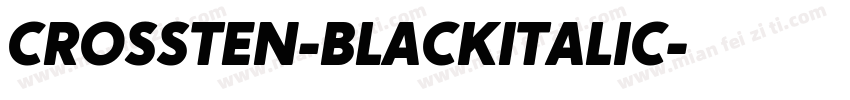CROSSTEN-BLACKITALIC字体转换