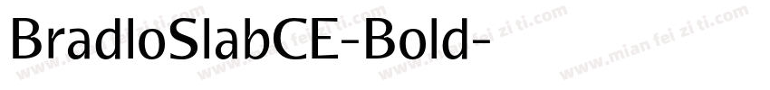 BradloSlabCE-Bold字体转换