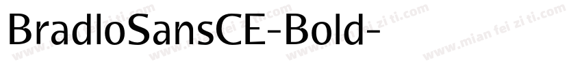 BradloSansCE-Bold字体转换