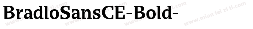 BradloSansCE-Bold字体转换