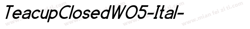 TeacupClosedW05-Ital字体转换