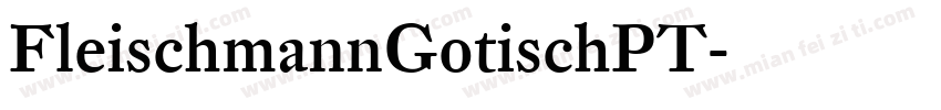 FleischmannGotischPT字体转换