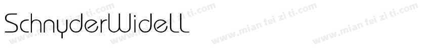 SchnyderWideLLight字体转换