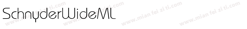 SchnyderWideMLight字体转换