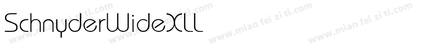 SchnyderWideXLLight字体转换