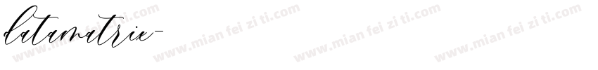 datamatrix字体转换