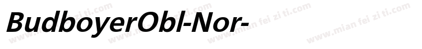 BudboyerObl-Nor字体转换